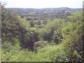 The Whitmore Way at Foscombe Hill