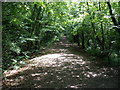 Trackbed, of the former Moretonhampstead branch