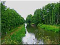 Godalming Navigation looking north-northeast