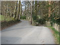 The lane to Bryn Hall