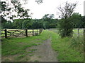 Bridleway to woods at Stakers Gill