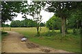 Pasture near Park Farm