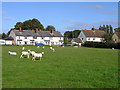 Pasture and houses, Milton Lilbourne