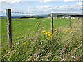 View to Berry Edge Farm