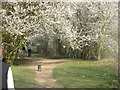 Thames Path