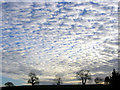 Autumn clouds