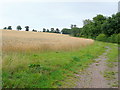 Footpath north from Wood End