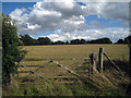 Gate to Field off Frinsted Road