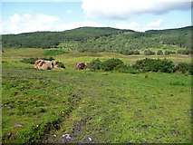 NH3763 : Rough grazing at Torriegorrie by John Allan