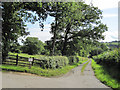 Track to Derwendeg Farm