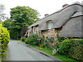 A fine thatched cottage