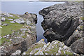HU6671 : Cobbi Geo - West Isle, Out Skerries by John Dally