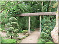 The Japanese Garden at St Mawgan