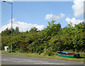 Roadside boat