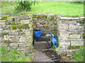 Spring water collection at Dryburn Side