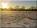 Coombe Park under snow