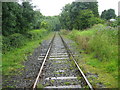 Weardale Railway, Frosterley