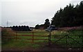 2 Stacks of round Hay bales