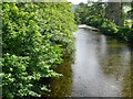 Afon Wnion at the bridge at Dolgellau.