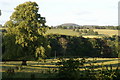 Trees and fields, Glenericht