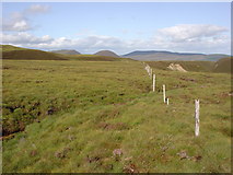 NH5167 : Estate Boundary Fence by Alasdair MacDonald