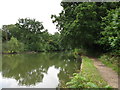 Basingstoke Canal