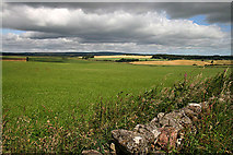 NT6244 : Farmland at Knock Hill by Walter Baxter