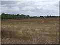 SE9502 : Fields off Manton Lane by Glyn Drury