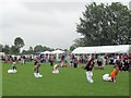 Sack Race at the Long Marston Village Show, 2009