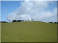 Hagworm  Hill  and  Seamer  Beacon