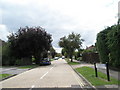 Looking southwards down The Paddock