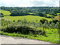 View to the edge of the Forest of Dean