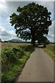 The Malvern Hills view from near Castle Green