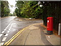 SZ0589 : Canford Cliffs: postbox № BH13 311, Western Road by Chris Downer