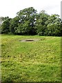 Pond in moated area at Bugthorpe