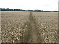 Footpath to Chambers Green