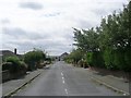 Robin Royd Drive - Robin Royd Avenue