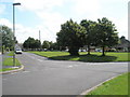 Looking south-east across Greville Green