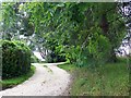 Bridleway near Woodborough