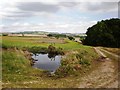 Panoramic view across countryside near Bugthorpe