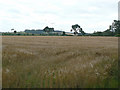 Farmland at Burntstump