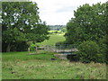 Cattle bridge