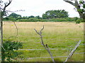 Pasture land near Cherry Tree Farm