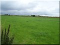 Pasture near Barnes Farm, Dronfield Woodhouse