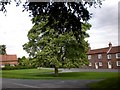 Bugthorpe Village Green