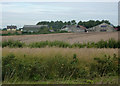 Fields looking towards farm buildings