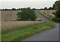 Lane near Laurels Farm