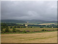 Velvety fields with woodland border strips