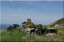 NR5913 : Ruin at Innean Gaothach by Leslie Barrie