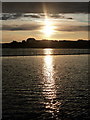 SZ0290 : Poole: a sunny evening at Poole Park by Chris Downer